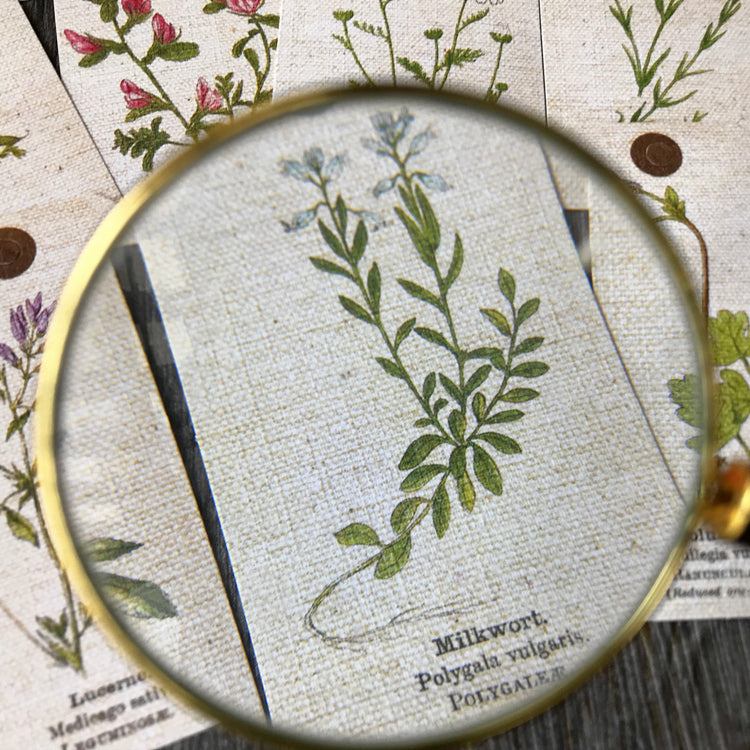 ZX Vintage Plant Tag