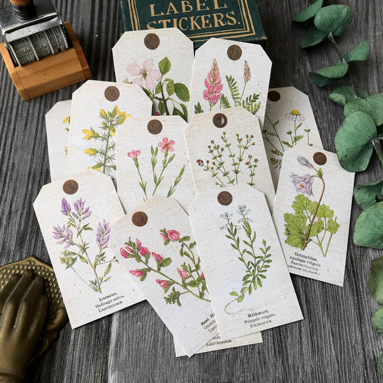 ZX Vintage Plant Tag