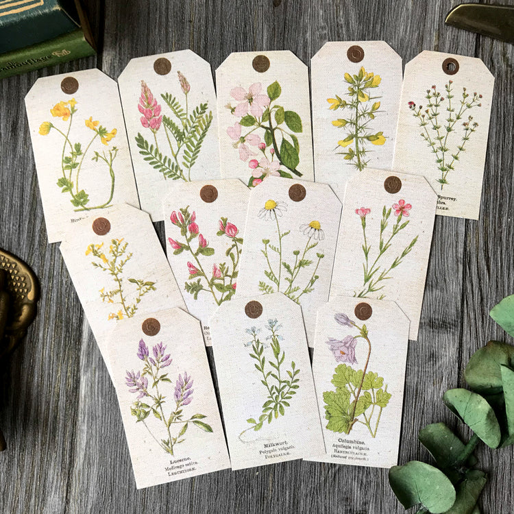 ZX Vintage Plant Tag
