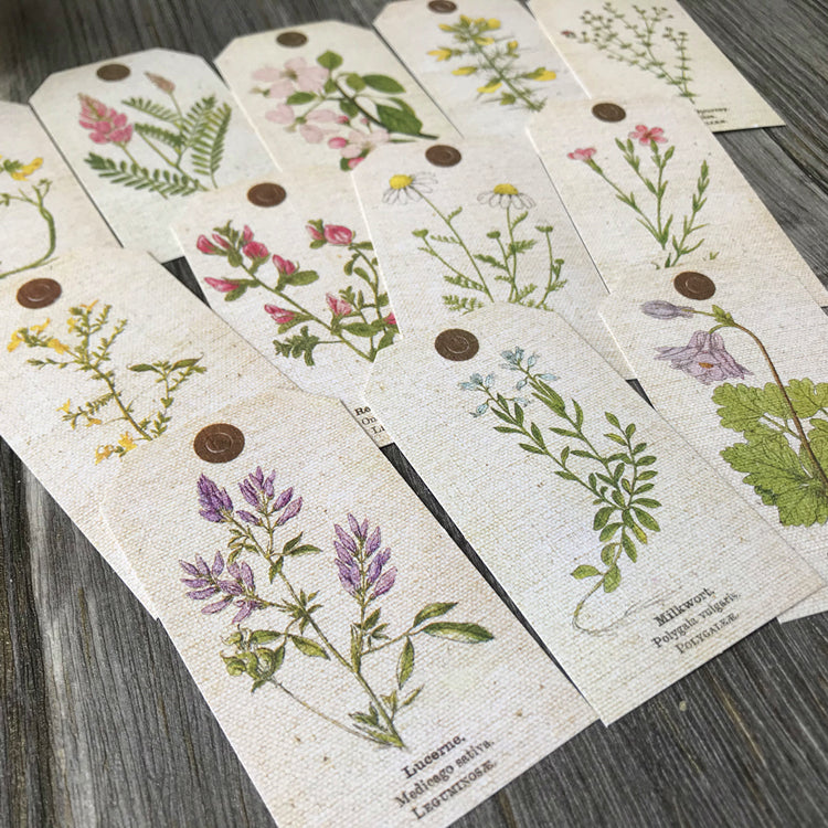 ZX Vintage Plant Tag