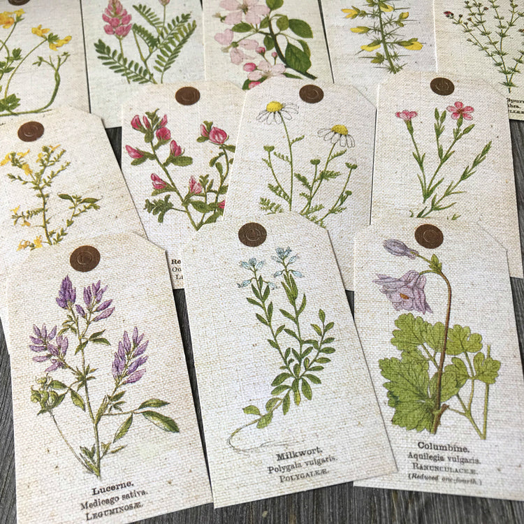 ZX Vintage Plant Tag